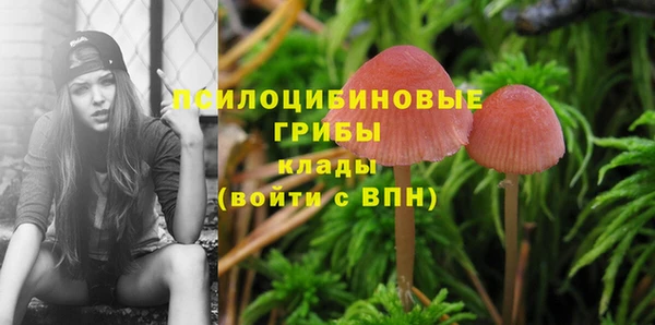 герыч Абинск